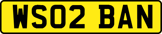 WS02BAN