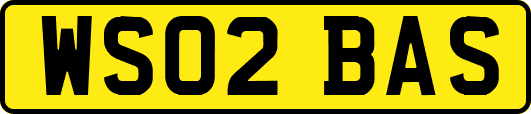 WS02BAS
