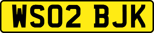 WS02BJK