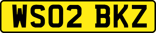 WS02BKZ