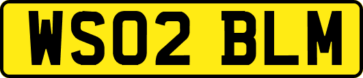 WS02BLM