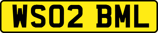 WS02BML
