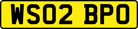 WS02BPO
