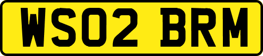 WS02BRM