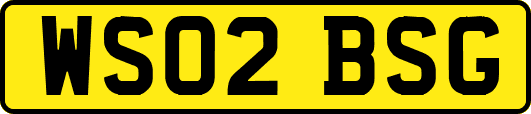 WS02BSG