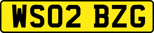 WS02BZG