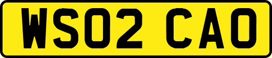 WS02CAO