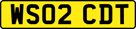 WS02CDT