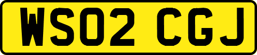 WS02CGJ