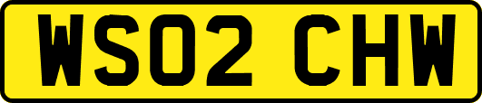 WS02CHW