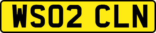 WS02CLN
