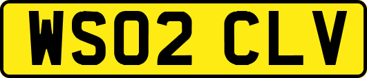 WS02CLV