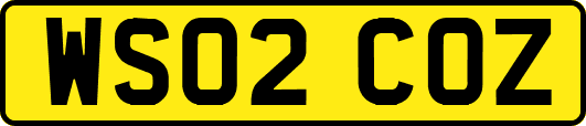 WS02COZ