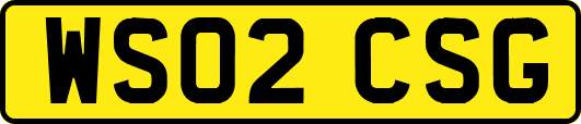 WS02CSG