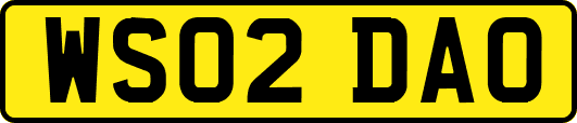 WS02DAO