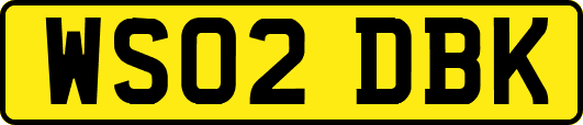 WS02DBK