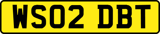 WS02DBT