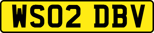 WS02DBV