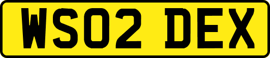 WS02DEX