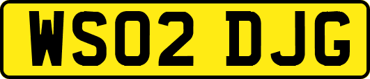 WS02DJG