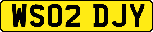 WS02DJY
