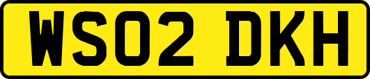 WS02DKH