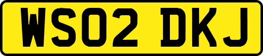 WS02DKJ