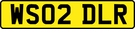 WS02DLR