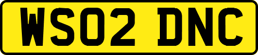 WS02DNC