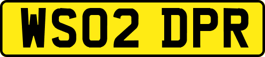 WS02DPR