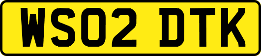 WS02DTK