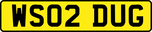 WS02DUG