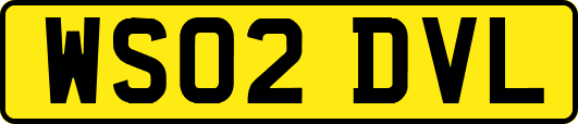 WS02DVL