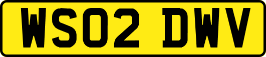 WS02DWV