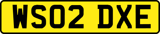 WS02DXE