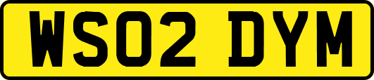 WS02DYM