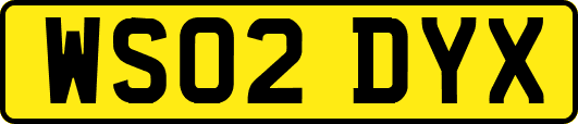 WS02DYX
