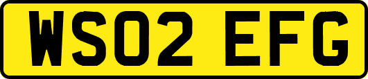 WS02EFG