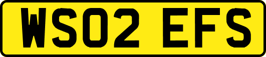 WS02EFS