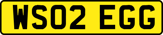 WS02EGG
