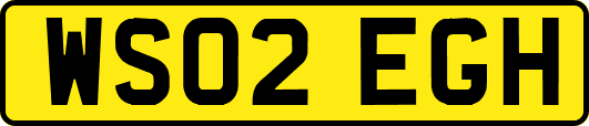 WS02EGH