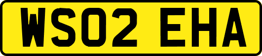 WS02EHA