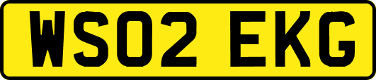 WS02EKG