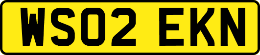WS02EKN