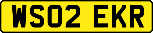 WS02EKR