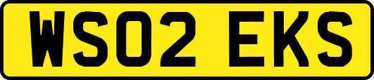 WS02EKS