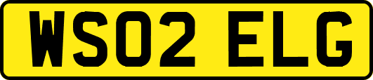 WS02ELG