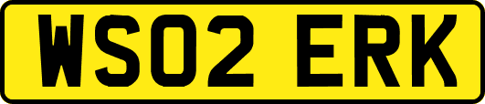 WS02ERK