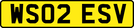 WS02ESV