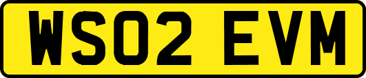 WS02EVM